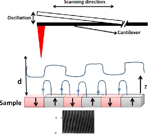 Figure 2. 7: outline of MFM components and profile of force gradient from surface. 