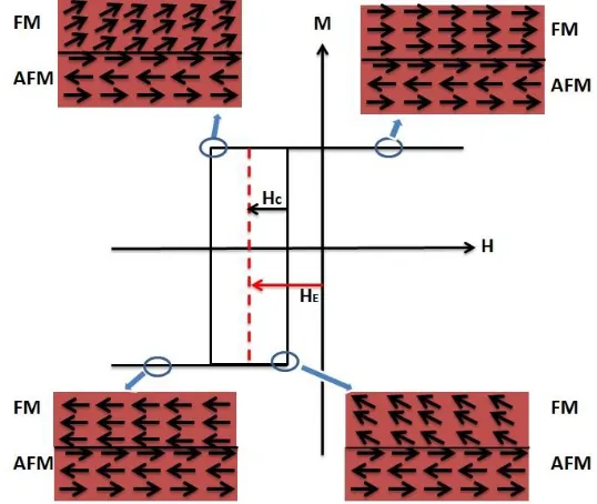 Figure 3.12: Spin configuration of FM and AF layers at different external magnetic field