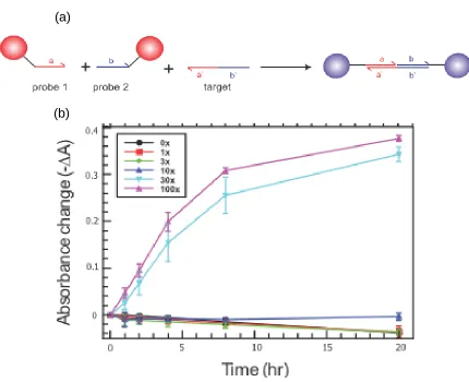 Figure 2.1 Direct Aggregation. a) Two nanoparticle types were used in this assay, absorbance data collected over time