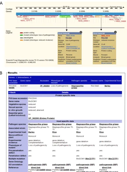 Figure 3. Inspection of gene function using the Ensembl genome browser. (A) Displayed is a small chromosomal region incolour code indicates the annotated role of each gene, green ‘loss of pathogenicity’ and orange ‘reduced virulence’