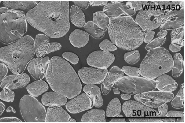 Figure 1 WHA (W-17Ni-2Co) processed by liquid-phase sintering. Pure tungsten particles are surrounded by a binder phase, mainly Ni and Co