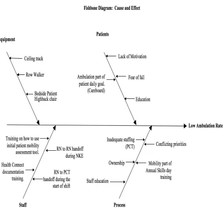 Figure D1 Cause and Effect 