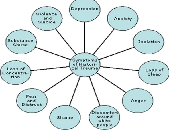 Figure 1. Constellation and Wheel of Historical Trauma 