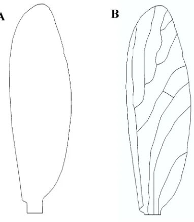 Figure 2.4 CAD model description of the crane fly forewing. CAD model for the (A) Membrane contour and (B) vein contour of the crane fly forewing