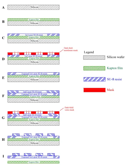 Figure 2.8 Description of the photolithography process for the manufacturing of the single material artificial insect-sized wing