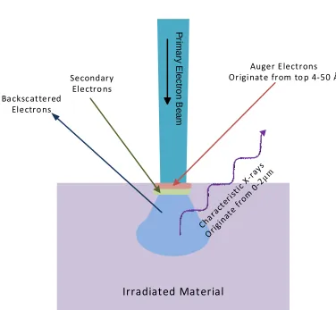 Figure 6.  bombardment; secondary electrons and Auger electrons remain near the surface Generalized illustration representing products of electron while backscattered electrons and characteristic x-rays exit the sample 