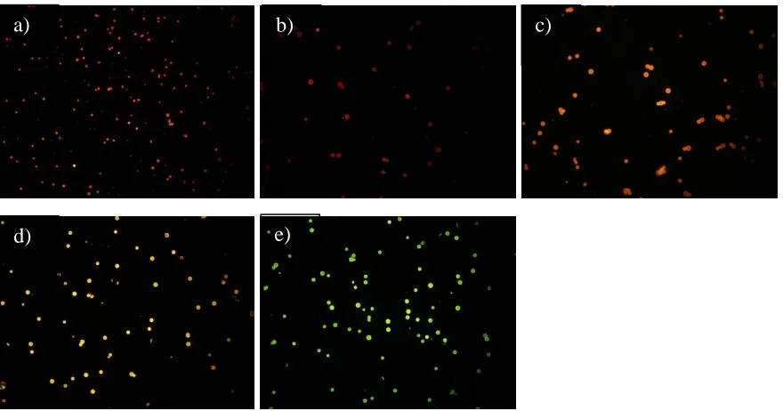 Figure 2.6 SiQD with (a) no TEOS, (b) 25 µL TEOS, (c) 50 µL TEOS, (d) 100 µL TEOS, (e) 200 µL TEOS