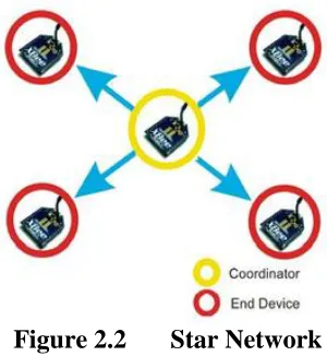 Figure 2.2 Star Network 