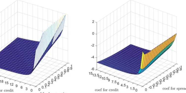 Figure 10: Surface of the loss function under optimal capital requirements