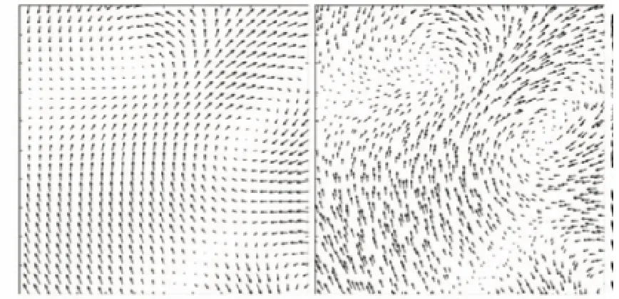 Figure 1.9: The same vector ﬁeld visualized with hedgehogs on a uniform (left) andjittered (right) grid [10]