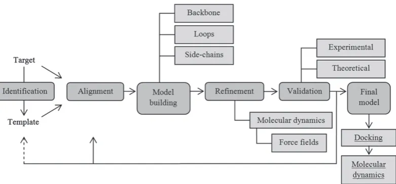 Fig. 3. General building scheme for protein structures by homology modelling, as applied to insect odorant-binding proteins to date