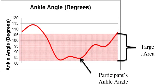 Figure 3 Ankle Angle Graph1 