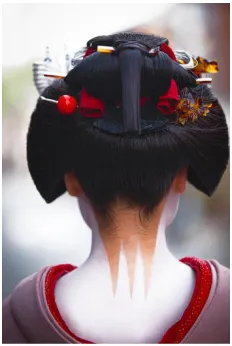Figure 2 Warenshinobu 