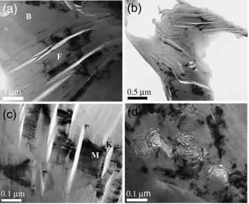 Figure 2.2 Bright-field TEM micrographs of IG-110 grade graphite: (a) interface region between a filler particle (marked F) and binder (marked B), (b) filler particle at high magnification, (c) filler particle with kink boundaries (marked K) and moire frin