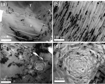 Figure 2.4 Bright-field TEM micrographs of NBG-18 grade graphite: (a) interface region constituting filler (marked F), binder (marked B), and turbostratic graphite (marked T), (b) filler particle at higher magnification, (c) binder region, and (d) rosette 