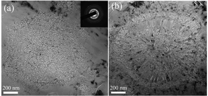 Figure 2.5 Bright-field TEM micrographs of spherical chaotic structures in NBG-18 grade graphite