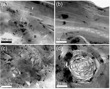 Figure 2.6 Bright-field TEM micrographs of PCBA grade graphite: (a) interface region constituting filler (marked F) and binder phase (marked B), (b) filler particle with cracks filled with porous amorphous carbon, (c) binder region, and (d) a rosette at hi