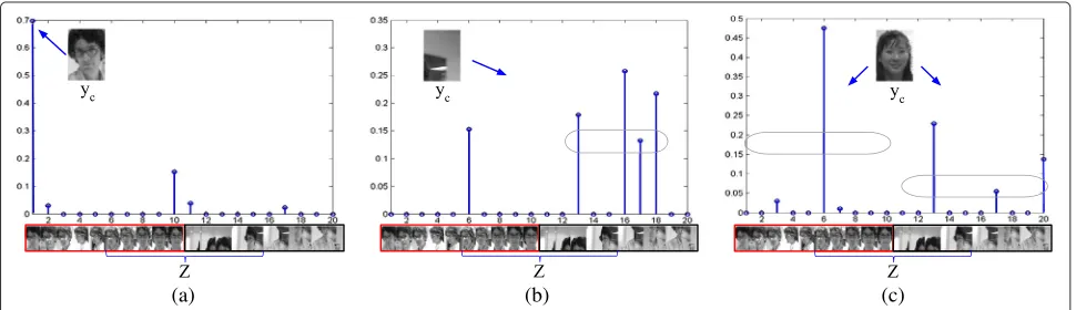 Figure 4 Sparse solutions of binary classifier for test samples: object (a), background (b), and outlier (c).
