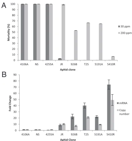 Fig. 1.Response to nicotine and changes in copy number and mRNA ex-pression of CYP6CY3 in M