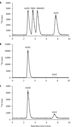 Figure 3.1 Chromatograms obtained through HPLC-ICP-MS of A, standards containing 50 μg As L-1 arsenite, DMA(V), MMA(V) and arsenate; and representative chromatograms of As speciation in extracts of rice (cv