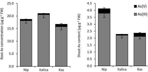 Figure 3.4 Mean arsenic speciation of different rice cultivars exposed to 10 µM arsenate in axenic culture