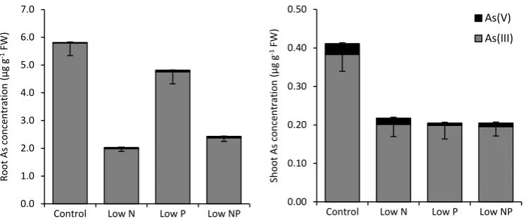 Figure 3.5 Mean arsenic speciation of tomato plants exposed to 10 µM arsenate.  Plants were grown in Phytatray II™s filled with half-strength MS medium set with 1% agar, with full nutrients  (Control), 200 μM N (Low N), 10 μM P (Low P), or 200 μM N and 10 