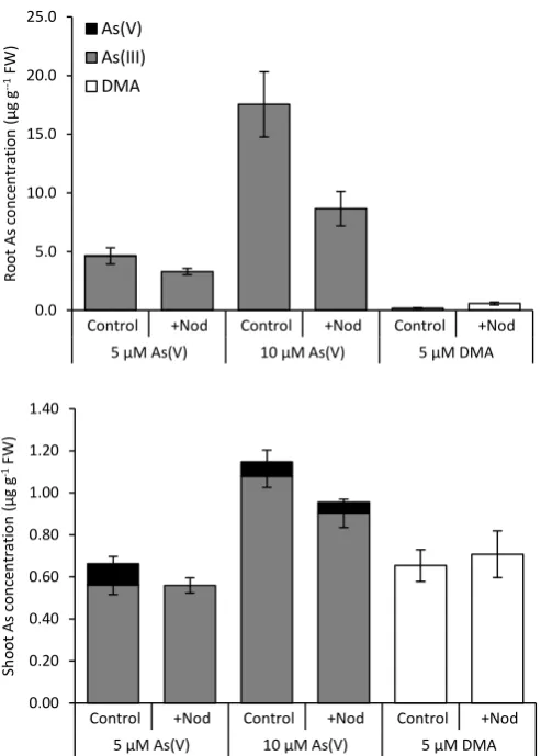 Figure 3.7 Mean arsenic speciation of red clover plants exposed to arsenic with (+Nod) or without (Control) inoculation with Rhizobium leguminosarum (bv