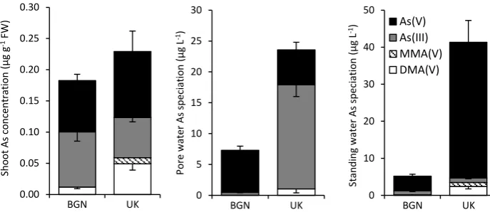 Figure 3.8 Mean arsenic speciation in rice (cv. Nipponbare) and waters from 2 soils: BGN = Bangladeshi paddy soil and UK = UK soil