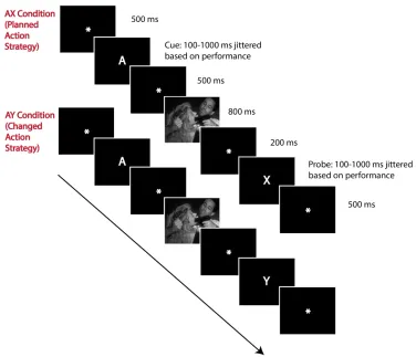 Figure 1. Modified AX-CPT Task Diagram. 