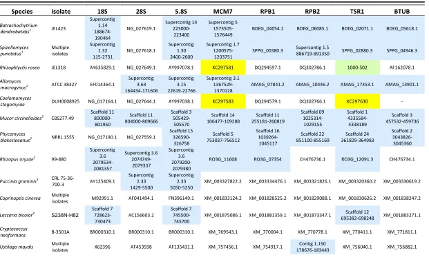 Table 2.3 List of species/isolates used in the phylogenetic analysis and their GenBank accession numbers or genome 