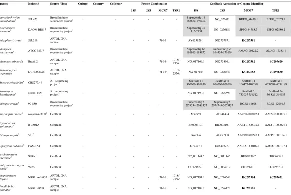 Table 1.1 Fungal species, isolate number, and source, amplified with specific primer combinations