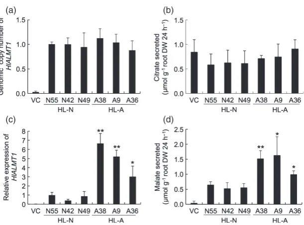 Figure 9. Functional analysis of the HlALMT1
