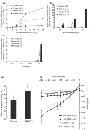 Figure 2. Time- and dose-dependent Al-induced24 h.Root exudates were collected after each treat-ment, and the levels of organic acid anions weredetermined by an enzymatic method