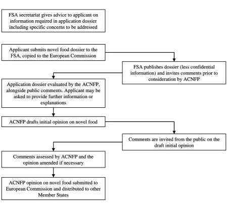 Figure 3:  The UK novel foods process 