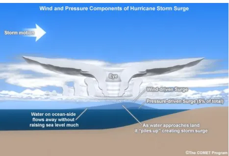 Figure 1-1: Wind and pressure components of hurricane storm surge. As the storm moves towards land (from left to right), friction between the wind and the water allows the water to be pushed in the direction of the wind's motion