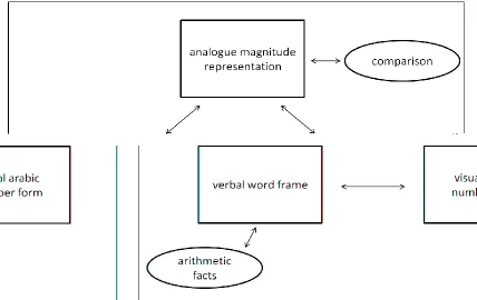Figure 2: Triple-Code Model ( Note: From DeHaene & Cohen, 1995)