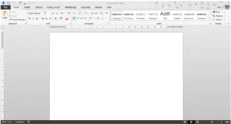 Figure 2 – Blank Document