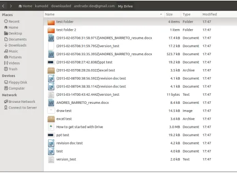 Figure 3.6: Drive contents downloaded to a local directory