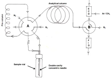 Figure 4.2: Simplified plumbing diagram, showing the gas sampling valves in the inject mode as described in the text, including the abbreviations