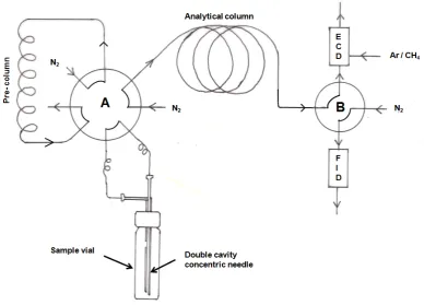 Figure 4.3: Simplified plumbing diagram, showing the gas sampling valves in the backflush mode as described in the text, including the abbreviations