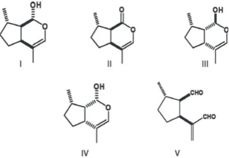 Fig. 1. Chemical structures of sex pheromone components identi-nepetalactol;ﬁed for aphids in the subfamily Aphidinae