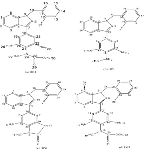Figure 1: Structures of RIO, DP1, DP2 and DP3.