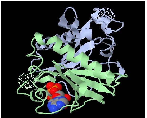Figure 4: Tertiary structure of protein. This is a cartoon image of a protein (PDB ID: 1AV5) generated by Jmol, an open source Java based viewer for chemical structures
