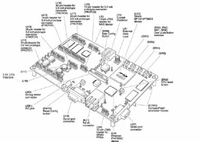 Figure 2.1 Nios Development Board 
