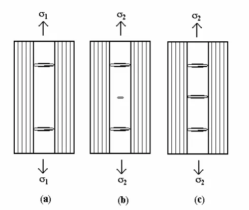 Figure 2.1. Schematic of microcrack development and progression in 90transverse loading