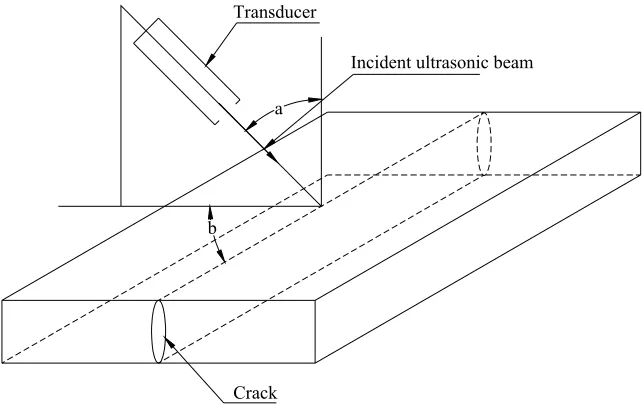 Fig 2.3 Schematic of ultrasonic polar backscattering technique.  