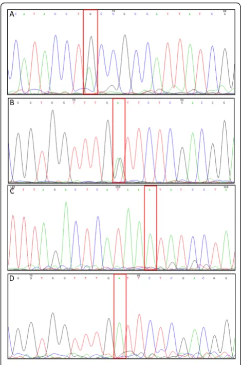 Figure 2 Sequencing chromatograms of Mrapabp to 807 bp shown. B:3 generation of B. R-o-18 mutants