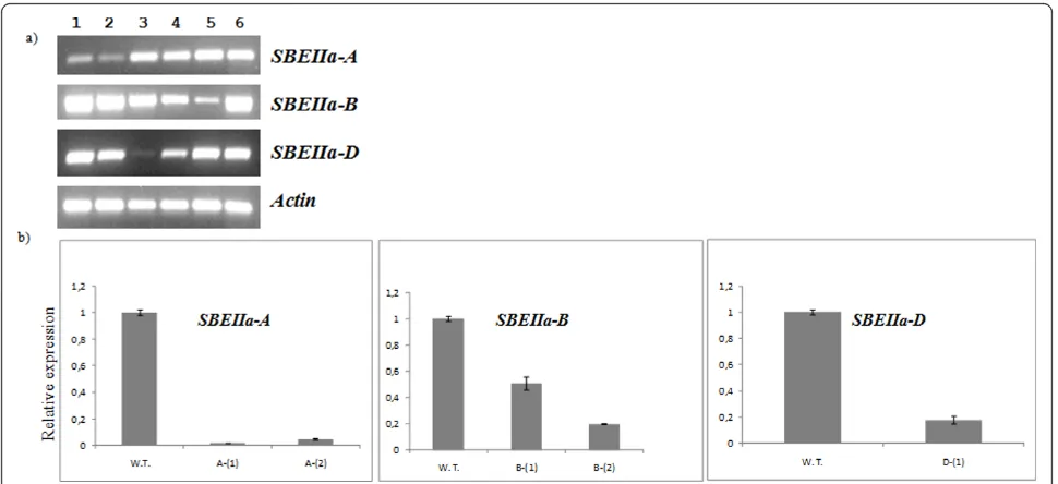 Table 4 Seed weight and amylose content in SBEIIasingle null mutants and in wild type plants.