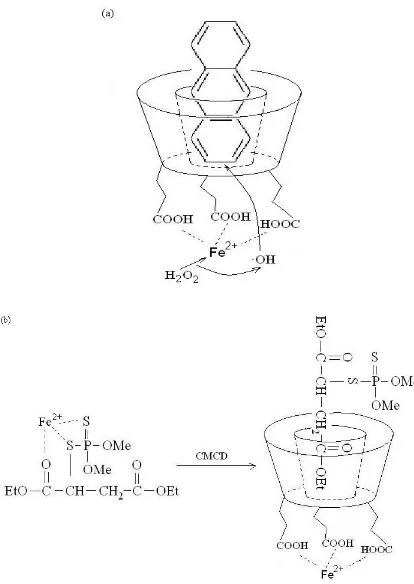 Figure 3.22 (a) Proposed mechanics of CMCD enhanced Fenton degradation and (b) possible inhibition mechanics of CMCD in malathion degradation