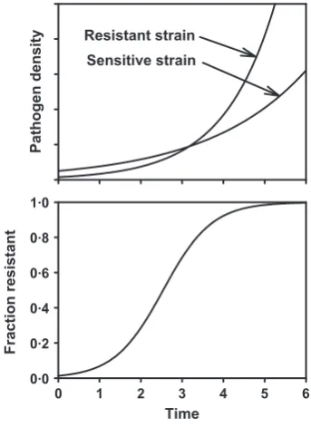 Figure 2 The emergence of a new pathogen genotype. Thesensitive population is represented as a constant density throughtime